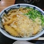 萩野屋 - ごぼう天うどん