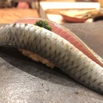 ときずし 山田 - 鰯