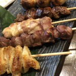 Nagamachi Isana - 焼き鳥盛合せ