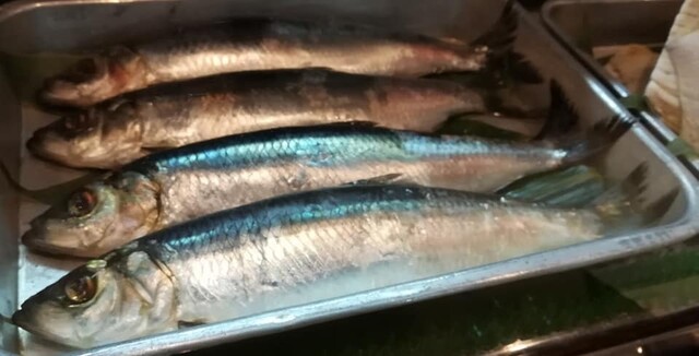 くいものや万代 - 北見（居酒屋）の写真