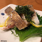 千陽 - 八戸前沖鯖の焼霜造り