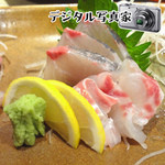 Sumiyaki Wagaya - 鯛とカンパチ