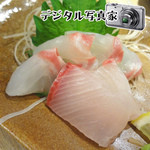 Sumiyaki Wagaya - かんぱち