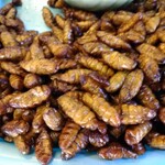 パタヤ水上マーケット - 芋虫（いもむし）