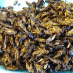 パタヤ水上マーケット - 田鼈（たがめ）