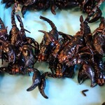 パタヤ水上マーケット - 蠍（さそり）