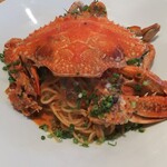 ボーノ - これぞ  リバースアングル