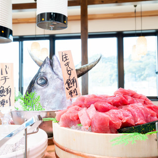 おさしみ天国・小田原海鮮ゴーゴー_0