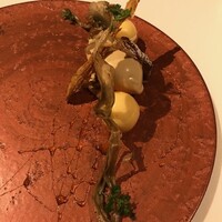 VELROSIER - 