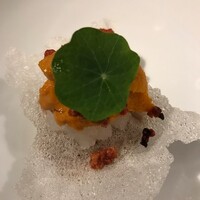 VELROSIER - 