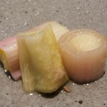 ファリナモーレ - ◆「平田赤ネギのシェリービネガーマリネにクミン」