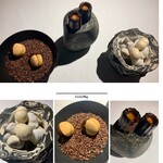 ラ・ヴァガボンド - ⑭登頂した気分(笑)