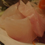 鳥太郎 - サメガレイ〜