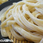 がむしゃら - 2012年3月 うどん　アップ