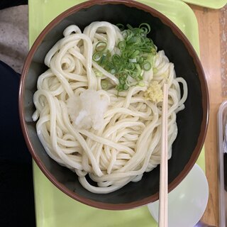 琴平駅でおすすめの美味しいうどんをご紹介 食べログ