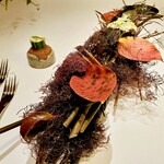 COOK JAPAN PROJECT - 