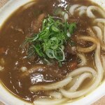 わたらせ温泉　露天風呂お食事処 - カレーうどん