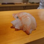 鮨 あらい - ボタンエビ