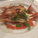 カーザ ヴィニタリア - 