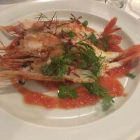 カーザ ヴィニタリア - 