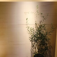 アニエルドール - 