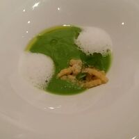 マンサルヴァ - 