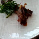 タテル ヨシノ ビズ  - 山鳩のもも肉