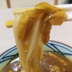 Marugame Seimen - カレーの中に肉は無くて、きつねが細長く切って入っていたようです。