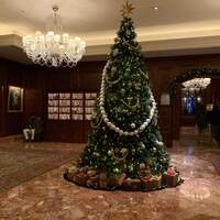 スプレンディード - 