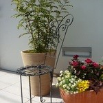 フロリレージュ - 