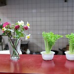 中華居酒屋 上海ママ料理 - 大根の葉の水栽培
