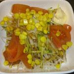 Monja Yaki Megumi - 野菜サラダ（４５１円）