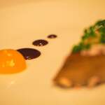 COOK JAPAN PROJECT - 