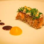 COOK JAPAN PROJECT - 