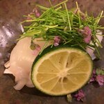 日本料理 晴山 - 