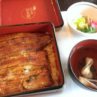 鰻割烹 伊豆栄 本店 -  鰻割烹 伊豆栄 本店 -