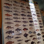 FISH HOUSE OYSTER BAR - 