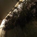 VELROSIER - 2001_Vel ROsier_店内①