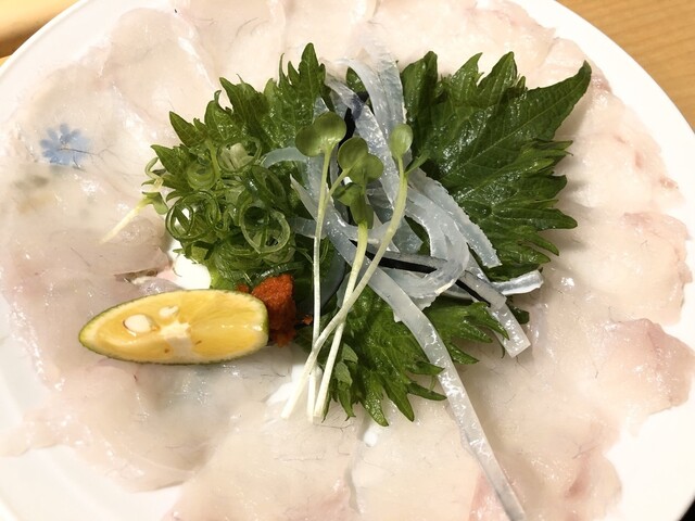 Fugu Taro photo 3