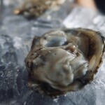 Jolly Roger Restaurant - 