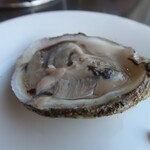 Jolly Roger Restaurant - 