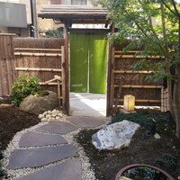 Selvaggio - 