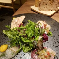 Selvaggio - 