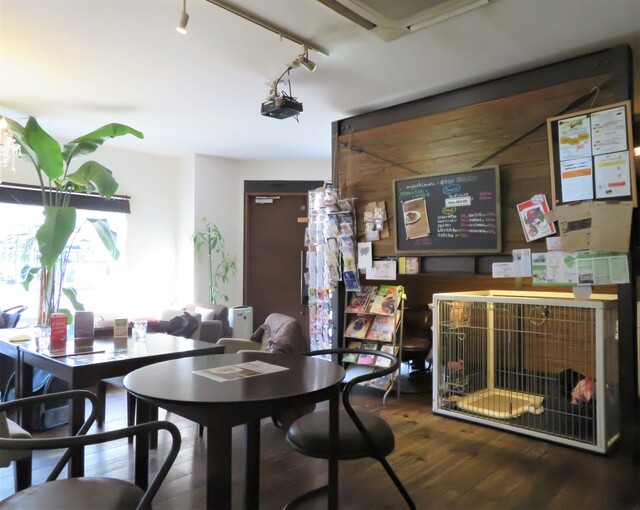 Musashimaru Cafe photo 5