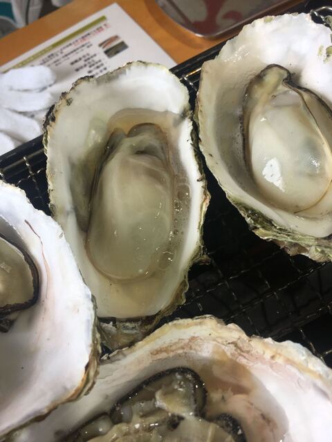 舞阪マルマ 幸福丸 舞阪 魚介料理 海鮮料理 食べログ 舞阪マルマ 幸福丸 舞阪 魚介料理 海鮮料理 食べログ