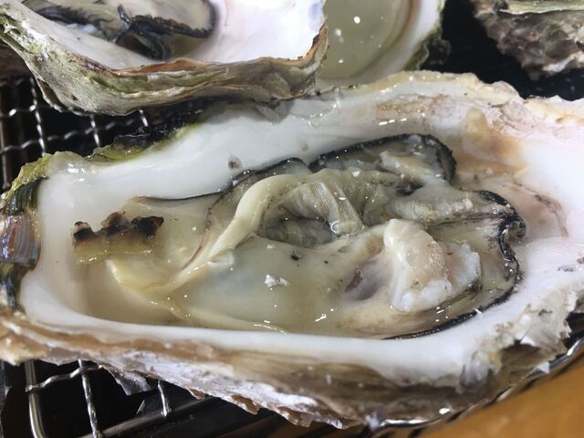 舞阪マルマ 幸福丸 舞阪 魚介料理 海鮮料理 食べログ 舞阪マルマ 幸福丸 舞阪 魚介料理 海鮮料理 食べログ