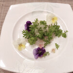 オーミリュドゥラヴィ - 