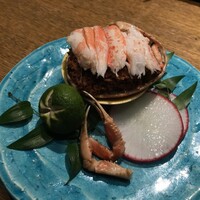 しゃにむに 心斎橋本店 - 