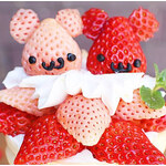 クレープリー チロル - 