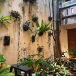 廸化老街 - 雑貨店中庭
